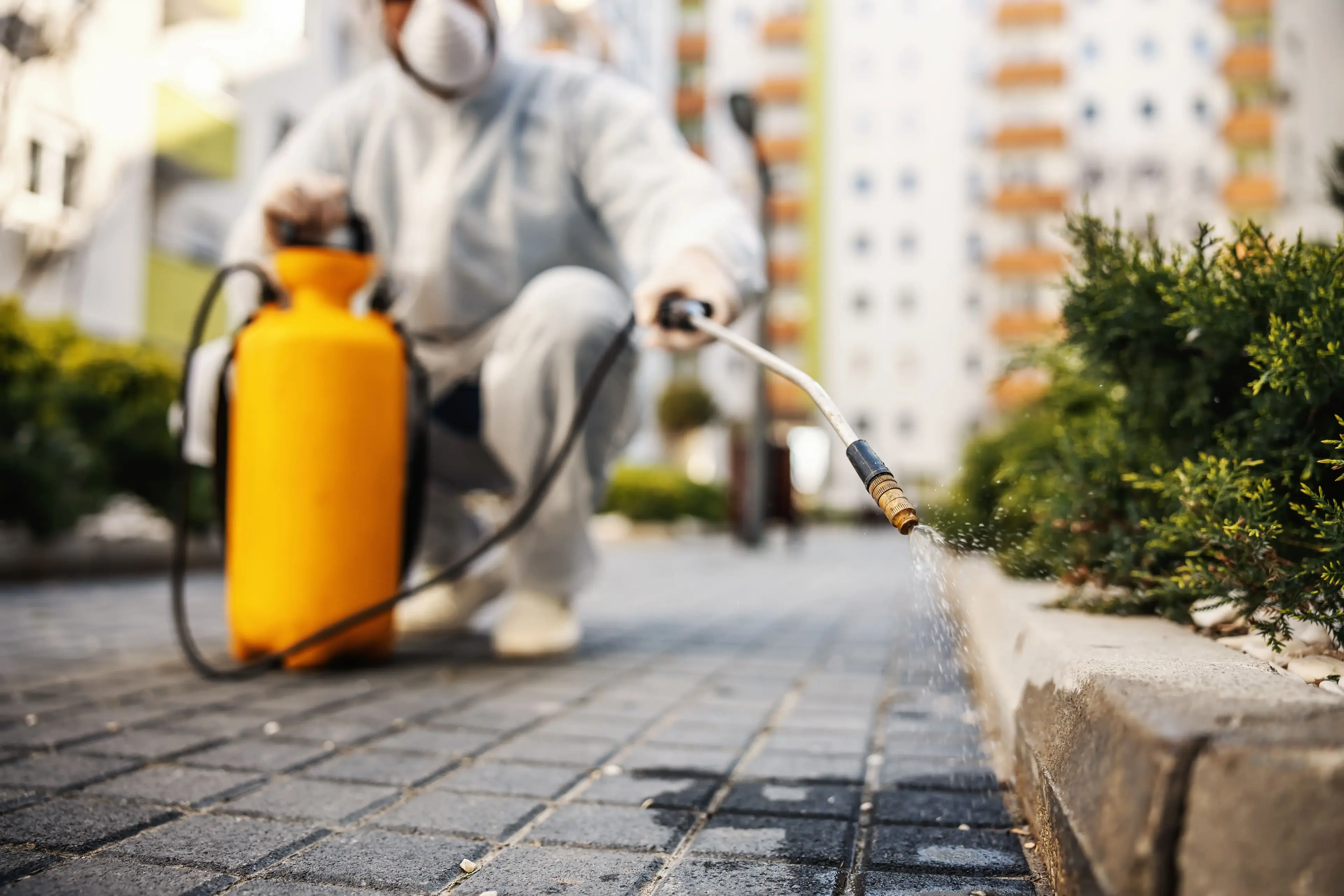 Best Pest Control Services Kutch | Universal Pest Control